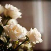 ヒメ日記 2026/02/22 10:18 投稿 しほ 仙南 愛ランド（白石、柴田、岩沼、名取）