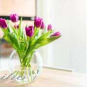 ヒメ日記 2026/03/15 10:34 投稿 しほ 仙南 愛ランド（白石、柴田、岩沼、名取）