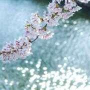 ヒメ日記 2026/03/29 10:44 投稿 しほ 仙南 愛ランド（白石、柴田、岩沼、名取）