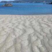 しほ こんにちは♪ 仙南 愛ランド（白石、柴田、岩沼、名取）