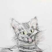 ヒメ日記 2026/04/29 15:01 投稿 黒沢夏子 川崎南町 素敵な奥様（川崎ハレ系）