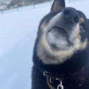 矢部　さちか 積もった エテルナ京都