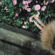 ヒメ日記 2025/12/14 17:45 投稿 ゆず ギン妻パラダイス 堺東店