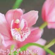 ヒメ日記 2024/12/13 04:34 投稿 ひかり 美熟女倶楽部Hip's 春日部店