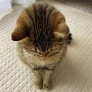 ヒメ日記 2024/12/18 11:54 投稿 ひかり 美熟女倶楽部Hip's 春日部店