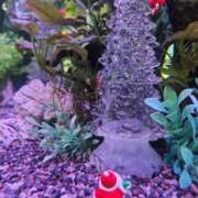 ヒメ日記 2024/12/24 04:24 投稿 ひかり 美熟女倶楽部Hip's 春日部店