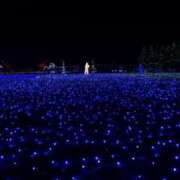 ヒメ日記 2024/12/28 04:14 投稿 ひかり 美熟女倶楽部Hip's 春日部店