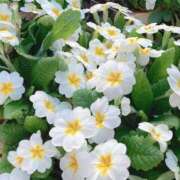 ヒメ日記 2025/01/03 04:04 投稿 ひかり 美熟女倶楽部Hip's 春日部店