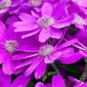 ヒメ日記 2025/01/05 06:54 投稿 ひかり 美熟女倶楽部Hip's 春日部店