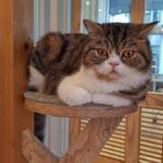 ヒメ日記 2025/01/07 06:54 投稿 ひかり 美熟女倶楽部Hip's 春日部店