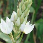 ヒメ日記 2025/01/14 04:14 投稿 ひかり 美熟女倶楽部Hip's 春日部店