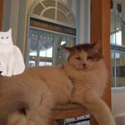 ヒメ日記 2025/01/17 05:04 投稿 ひかり 美熟女倶楽部Hip's 春日部店