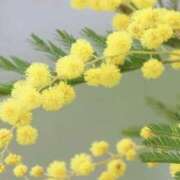 ヒメ日記 2025/02/17 05:04 投稿 ひかり 美熟女倶楽部Hip's 春日部店