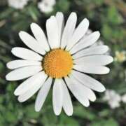 ヒメ日記 2025/02/20 03:44 投稿 ひかり 美熟女倶楽部Hip's 春日部店