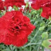 ヒメ日記 2025/02/21 05:14 投稿 ひかり 美熟女倶楽部Hip's 春日部店