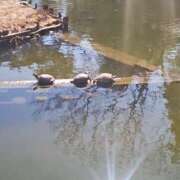 ヒメ日記 2025/02/25 08:44 投稿 ひかり 美熟女倶楽部Hip's 春日部店