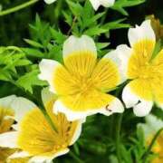 ヒメ日記 2025/02/26 03:54 投稿 ひかり 美熟女倶楽部Hip's 春日部店