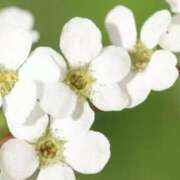 ヒメ日記 2025/02/27 08:14 投稿 ひかり 美熟女倶楽部Hip's 春日部店