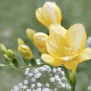 ヒメ日記 2025/02/28 04:04 投稿 ひかり 美熟女倶楽部Hip's 春日部店