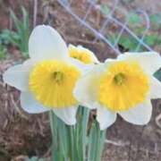 ヒメ日記 2025/03/07 08:54 投稿 ひかり 美熟女倶楽部Hip's 春日部店