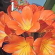 ヒメ日記 2025/03/12 08:54 投稿 ひかり 美熟女倶楽部Hip's 春日部店