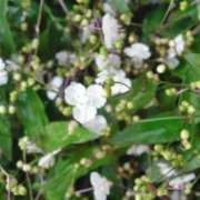 ヒメ日記 2025/03/27 04:34 投稿 ひかり 美熟女倶楽部Hip's 春日部店