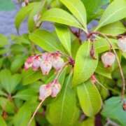 ヒメ日記 2025/04/04 04:04 投稿 ひかり 美熟女倶楽部Hip's 春日部店