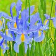 ヒメ日記 2025/04/05 06:14 投稿 ひかり 美熟女倶楽部Hip's 春日部店