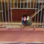 ヒメ日記 2025/04/08 07:31 投稿 ひかり 美熟女倶楽部Hip's 春日部店