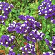 ヒメ日記 2025/04/19 03:54 投稿 ひかり 美熟女倶楽部Hip's 春日部店