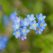 ヒメ日記 2025/04/21 04:04 投稿 ひかり 美熟女倶楽部Hip's 春日部店