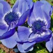 ヒメ日記 2025/04/23 04:14 投稿 ひかり 美熟女倶楽部Hip's 春日部店