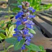 ヒメ日記 2025/04/26 04:24 投稿 ひかり 美熟女倶楽部Hip's 春日部店