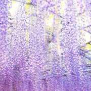 ヒメ日記 2025/05/04 14:04 投稿 ひかり 美熟女倶楽部Hip's 春日部店