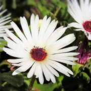 ヒメ日記 2025/05/07 03:34 投稿 ひかり 美熟女倶楽部Hip's 春日部店