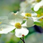 ヒメ日記 2025/05/09 03:54 投稿 ひかり 美熟女倶楽部Hip's 春日部店