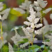 ヒメ日記 2025/05/14 08:14 投稿 ひかり 美熟女倶楽部Hip's 春日部店