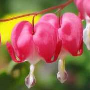 ヒメ日記 2025/05/20 03:54 投稿 ひかり 美熟女倶楽部Hip's 春日部店