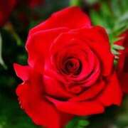 ヒメ日記 2025/05/21 03:54 投稿 ひかり 美熟女倶楽部Hip's 春日部店