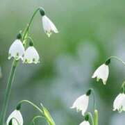 ヒメ日記 2025/05/22 04:14 投稿 ひかり 美熟女倶楽部Hip's 春日部店