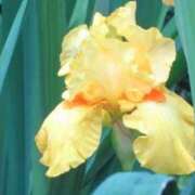 ヒメ日記 2025/05/23 04:14 投稿 ひかり 美熟女倶楽部Hip's 春日部店