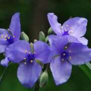 ヒメ日記 2025/05/24 04:04 投稿 ひかり 美熟女倶楽部Hip's 春日部店