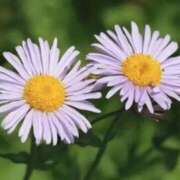 ヒメ日記 2025/05/27 08:28 投稿 ひかり 美熟女倶楽部Hip's 春日部店