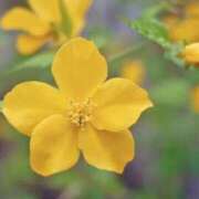 ヒメ日記 2025/05/28 05:24 投稿 ひかり 美熟女倶楽部Hip's 春日部店