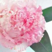 ヒメ日記 2025/05/29 06:54 投稿 ひかり 美熟女倶楽部Hip's 春日部店