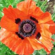 ヒメ日記 2025/05/30 07:04 投稿 ひかり 美熟女倶楽部Hip's 春日部店