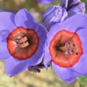 ヒメ日記 2025/06/06 08:34 投稿 ひかり 美熟女倶楽部Hip's 春日部店