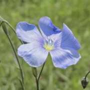 ヒメ日記 2025/06/08 05:54 投稿 ひかり 美熟女倶楽部Hip's 春日部店