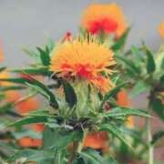 ヒメ日記 2025/06/13 06:24 投稿 ひかり 美熟女倶楽部Hip's 春日部店