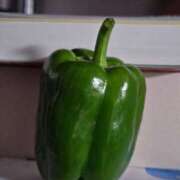 ヒメ日記 2025/06/14 06:27 投稿 ひかり 美熟女倶楽部Hip's 春日部店